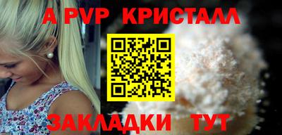 ECSTASY Гай