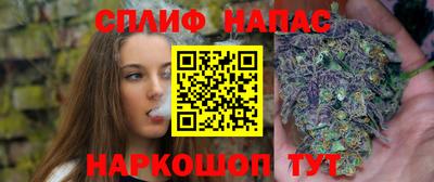 не бодяженный Гатчина