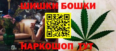 ECSTASY Гай