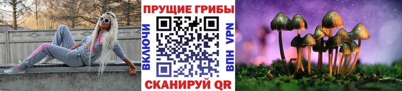 Галлюциногенные грибы Cubensis  Фролово 