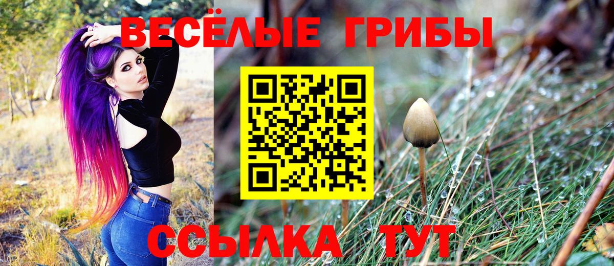 Псилоцибиновые грибы Cubensis  Фролово 