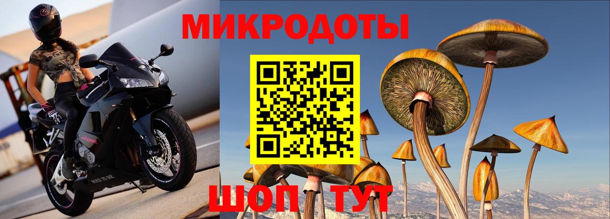 Фролово  Псилоцибиновые грибы ЛСД  Псилоцибиновые грибы Psilocybine cubensis  Вход с VPN 